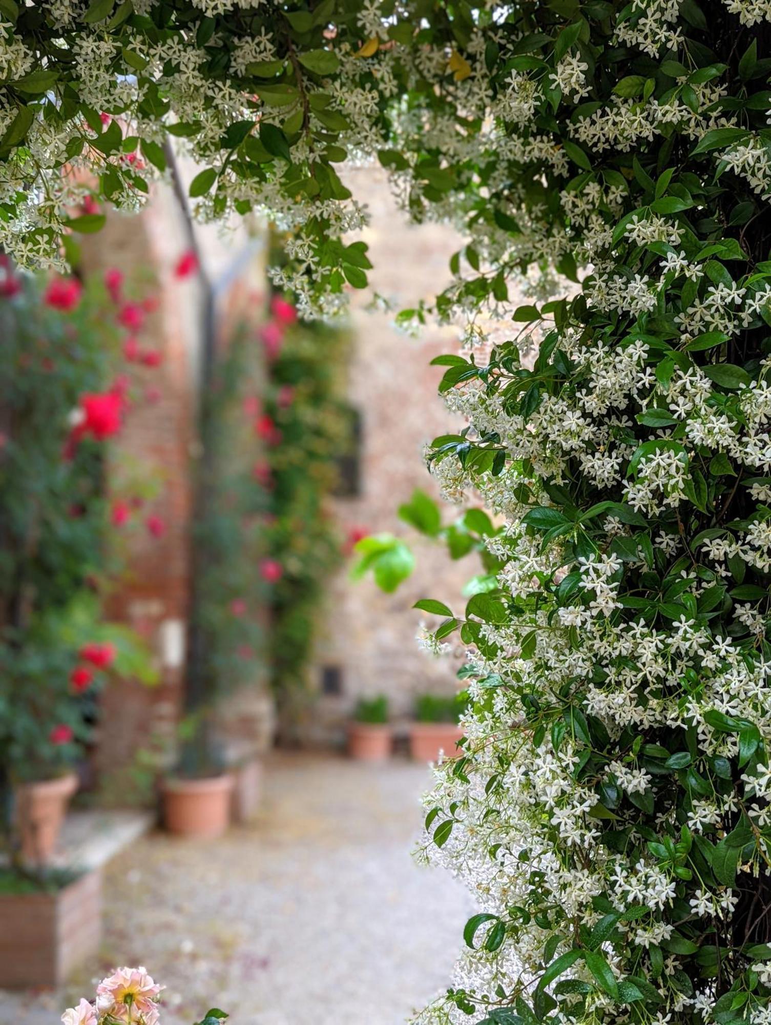 Enchanting Verona Exterior foto